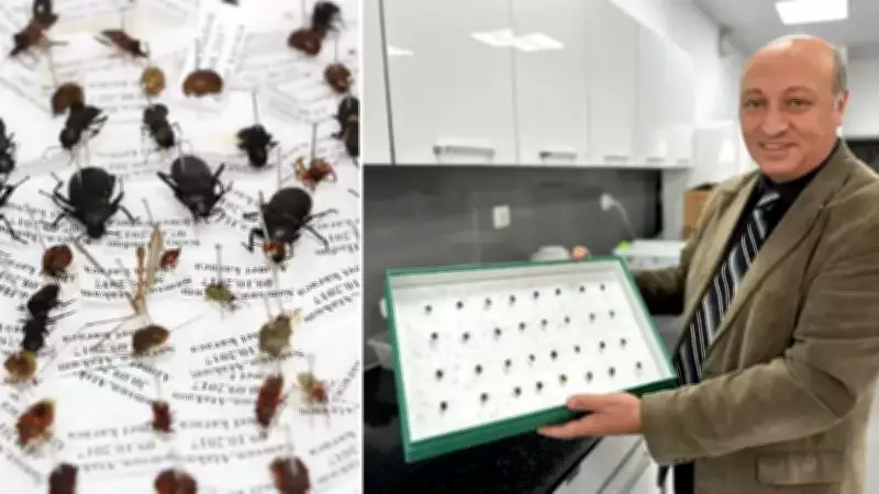 Adli Entomoloji: Böcekler Suç Araştırmalarında Nasıl Kanıt Oluyor?