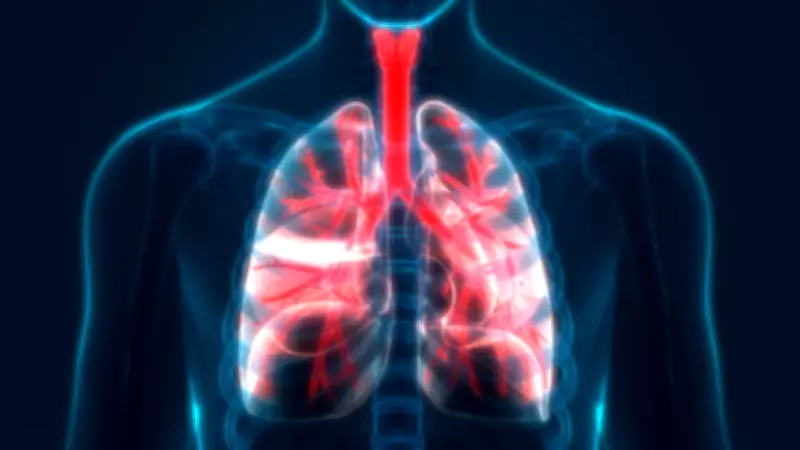 Açık Alanda Pasif İçicilik Tehlikesi: Uzman Uyarıyor