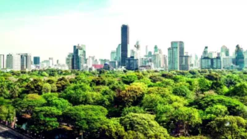 AK Parti'nin Karbon Yutak Ormanları Teklifi: İklim Hedeflerine Yeni Adım