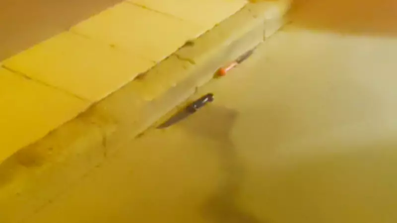 Aksaray'da Trajedi: İki 16 Yaşındaki Genç Arasındaki Tartışma Cinayetle Sona Erdi