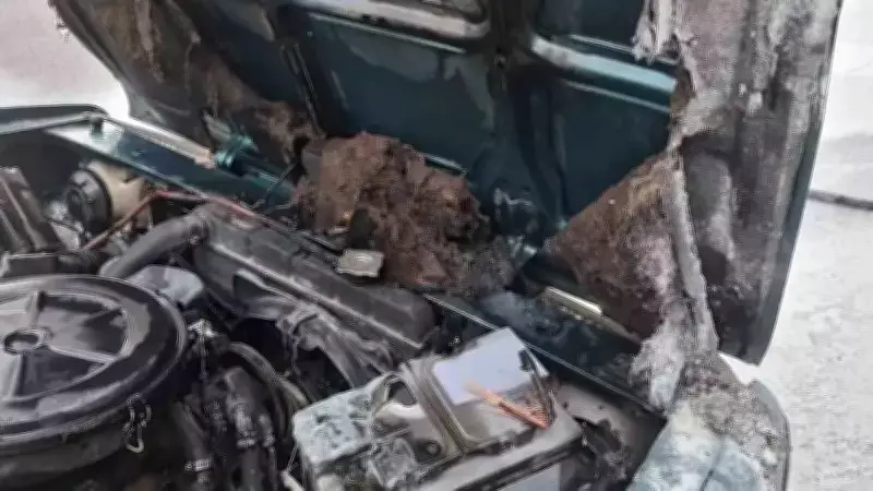 Alanya'da Seyir Halindeki Otomobilde Yangın Çıktı, İtfaiye Hızla Müdahale Etti