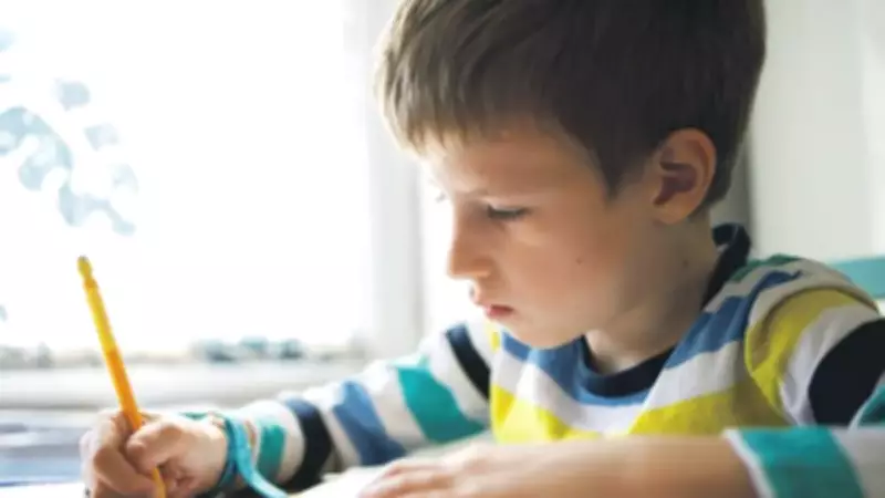 Alfa Kuşağı Mektup Yazma Yarışması İçin Heyecan Başladı