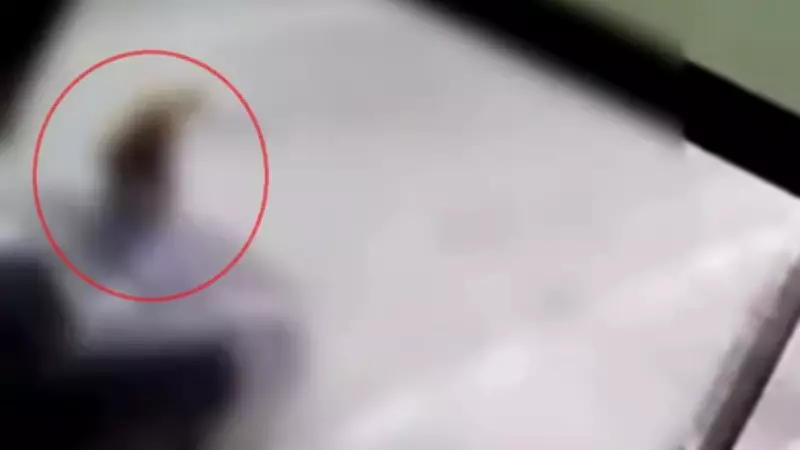 Alkollü Sürücünün Pes Dedirten Hareketi: Kazadan Sonra Türk Kahvesi Siparişi