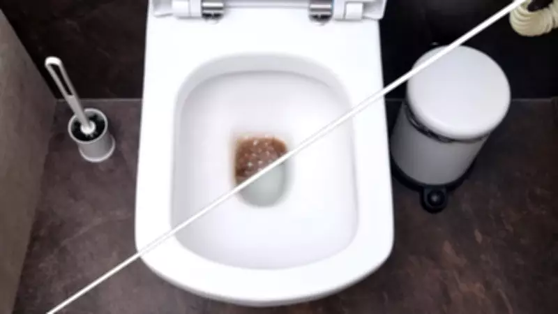 Çamaşır Sudan 10 Kat Güçlü Doğal Temizlik: Klozetleri İlk Günkü Beyazlığına Kavuşturuyor