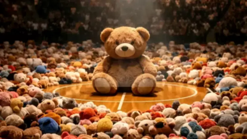 Anadolu Efes'ten Anlamlı Etkinlik: Taraftarlar Oyuncak Getirip Sahaya Atacak