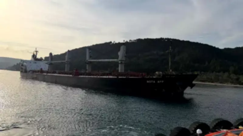 Çanakkale Boğazı'nda Tahıl Gemisi Karaya Oturdu: Makine Arızası Nedeniyle