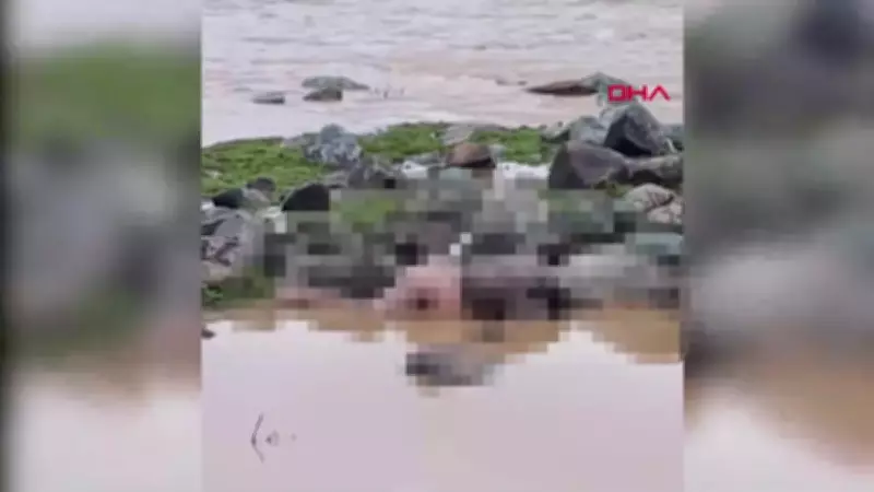 Şanlıurfa'da Derede Erkek Cesedi Bulundu: Kimliği Belirsiz