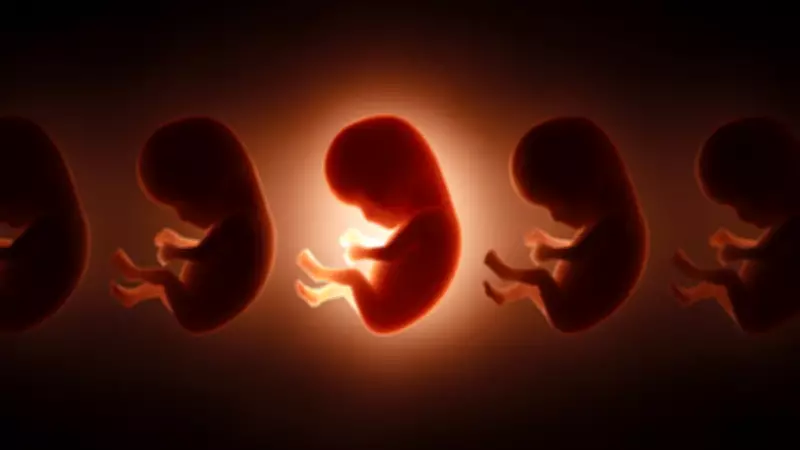 Anne Karnındaki Bebekler 42 Farklı Sonsuz Kimyasala Maruz Kalıyor