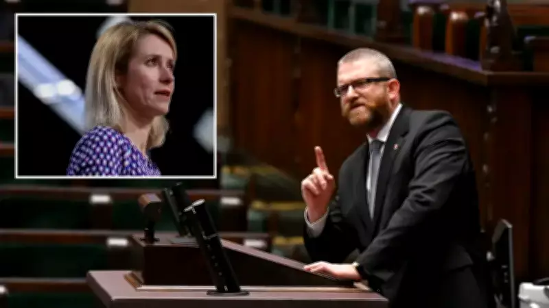 AP'de Gergin Anlar: Polonyalı Vekil Braun, Kallas'ı 'Etkisiz' İle Eleştirdi, Yahudi Karşıtı İthamları Reddedildi