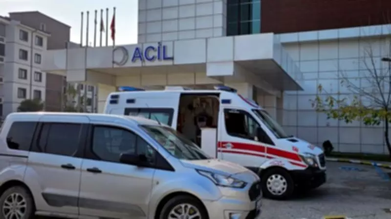 Ardahan'da Traktör Kazası: Sürücü Hayatını Kaybetti