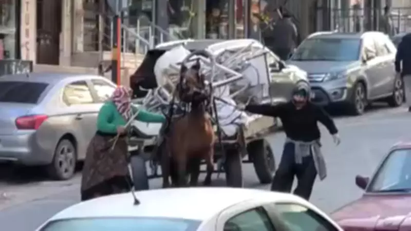 Avcılar'da Ata Eziyet: Aşırı Yükten Yere Yığılan Hayvana Şiddet
