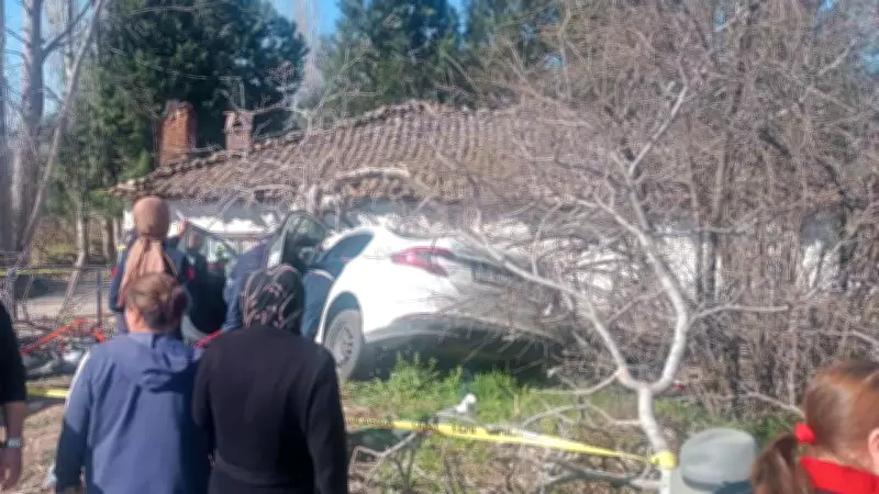 Aydın'da Trajik Kaza: Kontrolden Çıkan Otomobil Ağaçlığa Daldı, 2 Kişi Hayatını Kaybetti