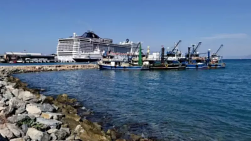 Aydın'da Üzücü Manzara: 3 Deniz Kaplumbağası Sahile Cansız Vurdu