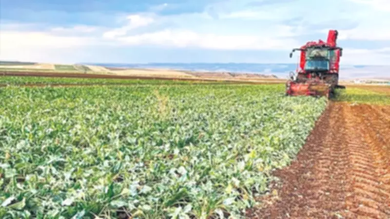 Bakan Yumaklı: Türkiye'nin Gıda Arz Güvenliğinde Hiçbir Sorun Yok