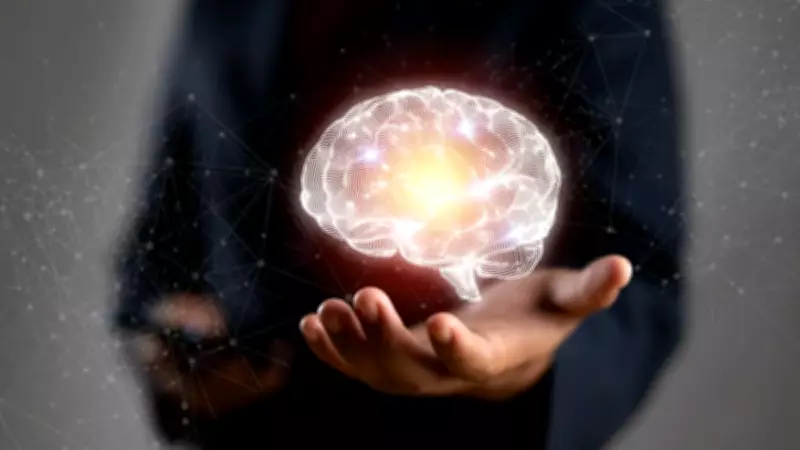 Beyniniz Sabit Değil, Her Gün Yeniden Şekilleniyor: Nöroplastisite Nedir?