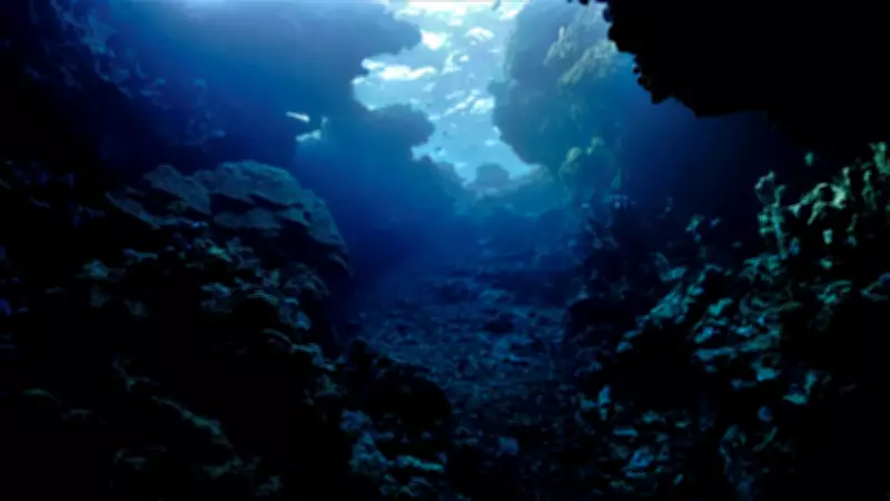 Bilim Dünyasında 'Karanlık Oksijen' Tartışması: Termodinamik Yasalarına Aykırı Mı?