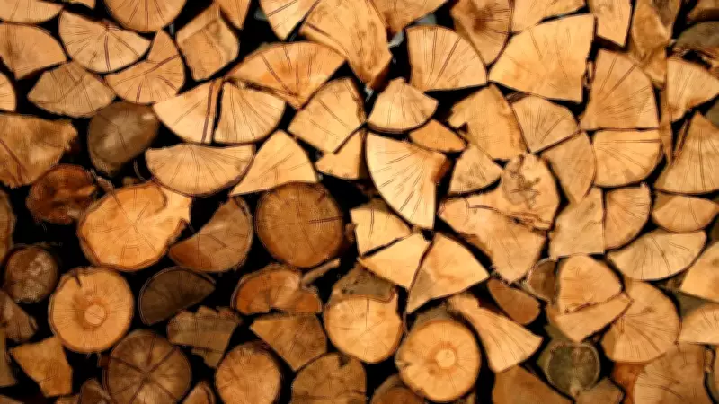 Bilim İnsanları Ahşap Atıkları Yakıta Dönüştüren Çığır Açıcı Yöntem Geliştirdi