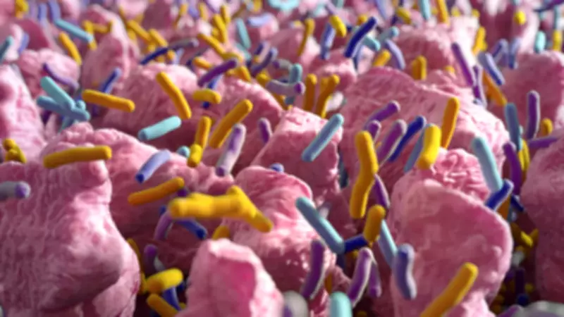 Bilim İnsanları Açıkladı: Sağlıklı Yaşlanmanın Anahtarı Bağırsaklarda Olabilir