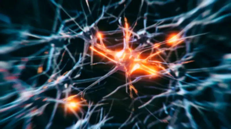 Bilim İnsanları Alzheimer'ın Sırrını Açığa Çıkaran Yeni Bir Beyin Yapısı Keşfetti