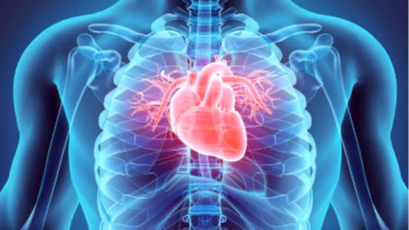 Bilim İnsanları Bataryasız Kalp Pili Geliştiriyor: Radyo Frekansıyla Şarj Olacak