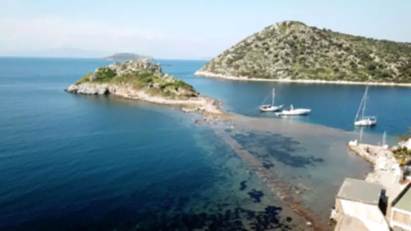 Bodrum'da Deniz Çekildi, 3 Bin 500 Yıllık 'Kral Yolu' Gün Yüzüne Çıktı