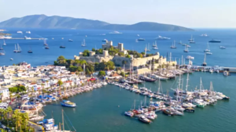 Bodrum'da Yaz Sezonuna Sıkı Denetimlerle Giriliyor: Köpekli Kontroller Başladı