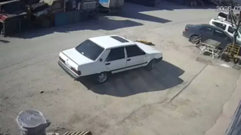 Bolu'da Güvenlik Kamerasına Yansıyan Acı Olay: Sürücü Yoldaki Köpeği Ezip Uzaklaştı