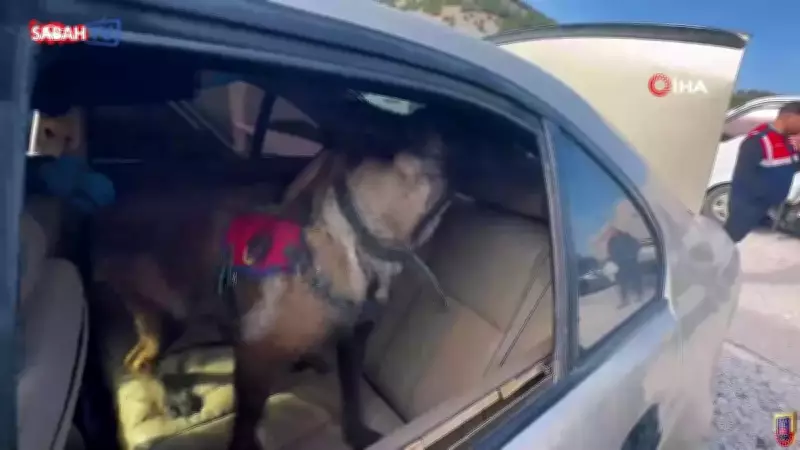 Burdur ve Antalya'da 'Narko Kapanı' Operasyonu: 22 Gözaltı, Çok Sayıda Uyuşturucu Ele Geçirildi