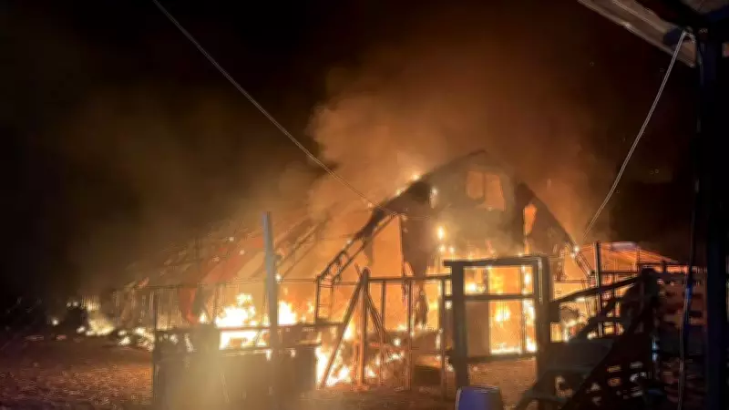 Bursa'da Çiftlik Yangını: 580 Hayvan Can Verdi, Sobadan Sıçrayan Kıvılcım Nedeniyle