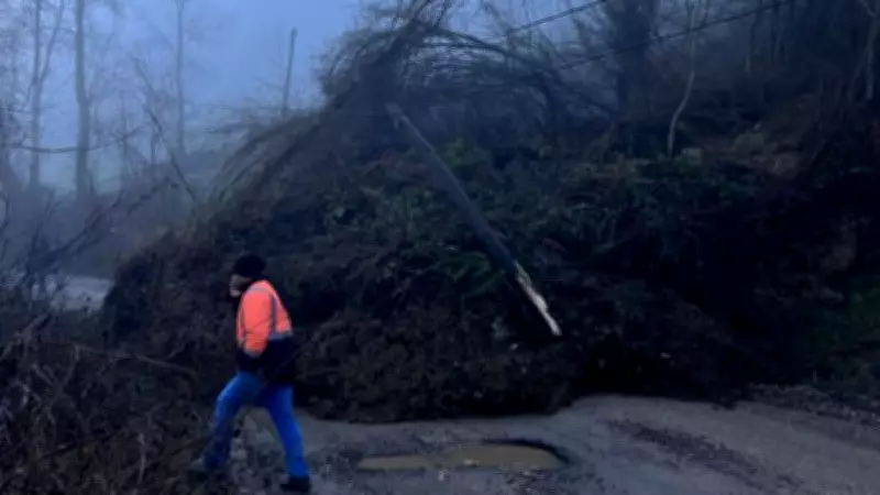 Cide'de Heyelan Köy Yolunu Kapattı, Ekipler Çalışma Başlattı
