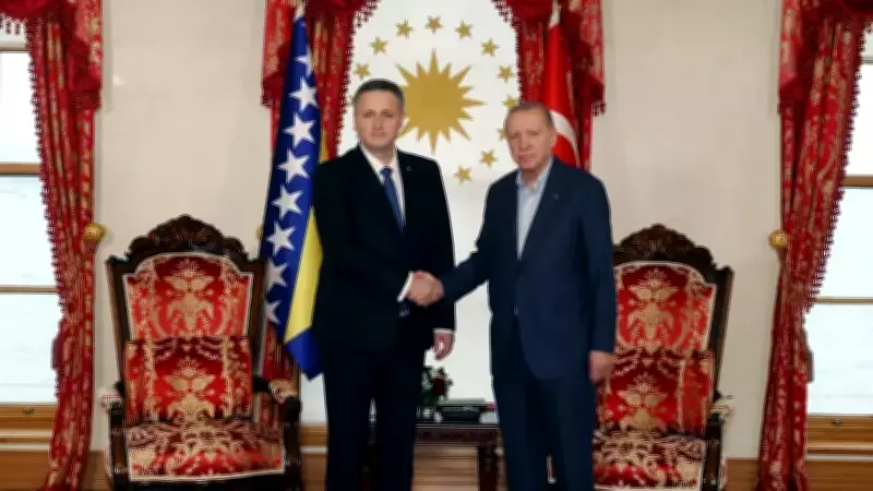 Cumhurbaşkanı Erdoğan, Bosna Hersek Devlet Başkanlığı Konseyi Başkanı ile Görüştü