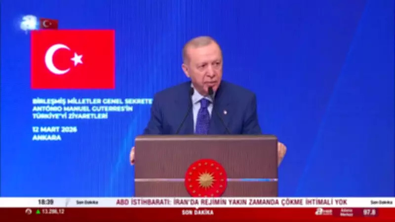 Cumhurbaşkanı Erdoğan: Dünyadaki Acıları Dindirmek İçin Çalışıyoruz
