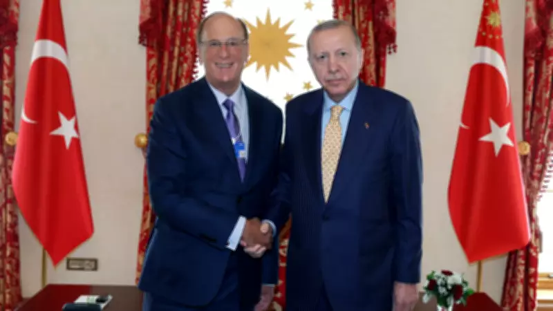 Cumhurbaşkanı Erdoğan, WEF ve BlackRock Başkanı Fink ile Görüştü