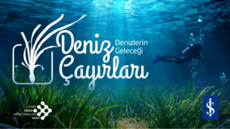 Deniz Çayırları Yok Oluyor: Yıllık Ekonomik Kayıp 42 Milyar Doları Bulabilir