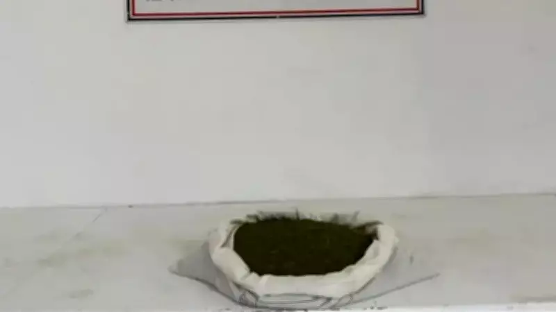 Diyarbakır'da Büyük Uyuşturucu Operasyonu: 23 Kilo Esrar Ele Geçirildi