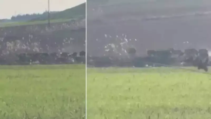 Diyarbakır'da Domuz Sürüsü Görüntülendi: Kırsalda Nadir Anlar