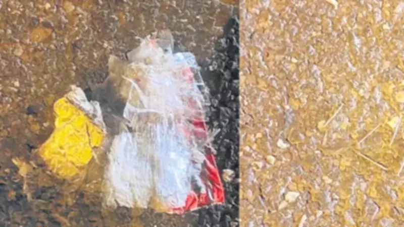 Diyarbakır'da Polis Aracına Yönelik EYP Provokasyonu Girişimi