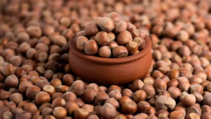 Dünyanın En İyi Fındığı Açıklandı: Türkiye'den O İlimiz Listeye Damga Vurdu!