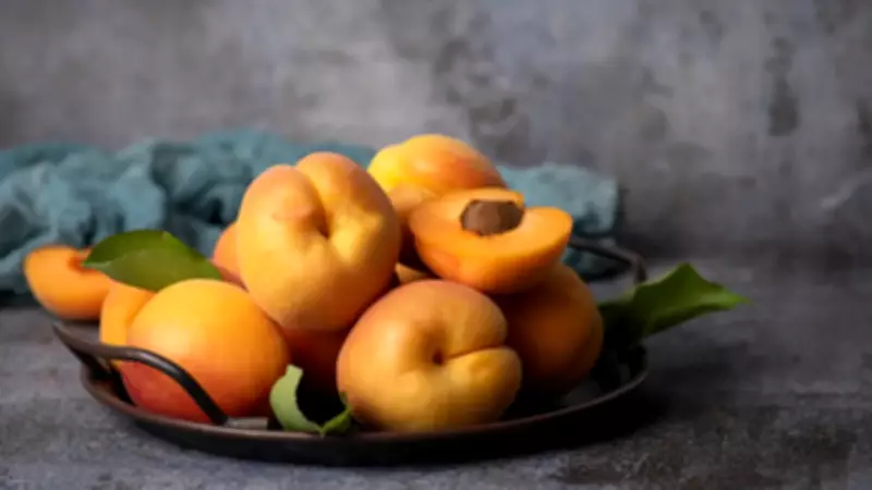 Dünyanın En İyi Kayısısı Belli Oldu: Malatya Kayısısı'nın Sıralamadaki Yeri Şaşırttı