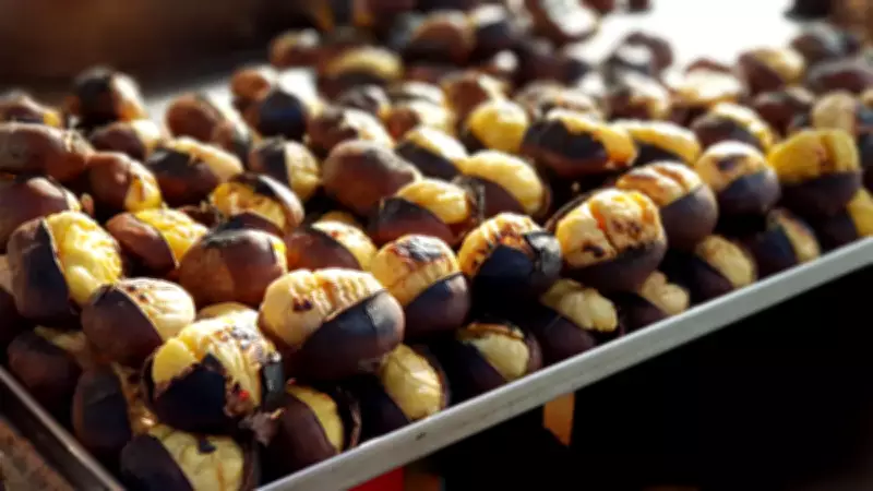 Dünyanın En İyi Kestanesi Türkiye'den Çıktı: Bir İlimiz Tüm Rakiplerini Geride Bıraktı