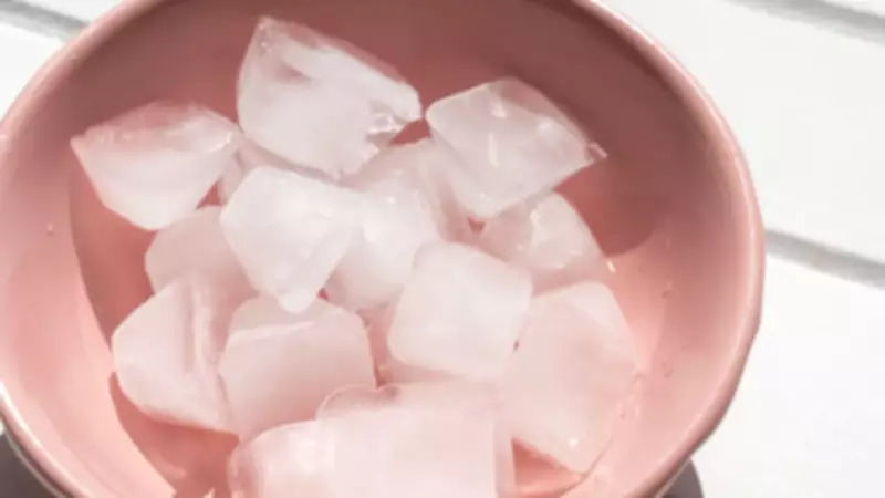 Doğanın Buz Makinesi: Mantar Proteini Suyun Donma Sürecini Kökten Değiştiriyor