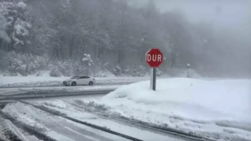 Doğu Anadolu'da Kar ve Tipi Etkisi: Onlarca Köy Yolu Ulaşıma Kapandı