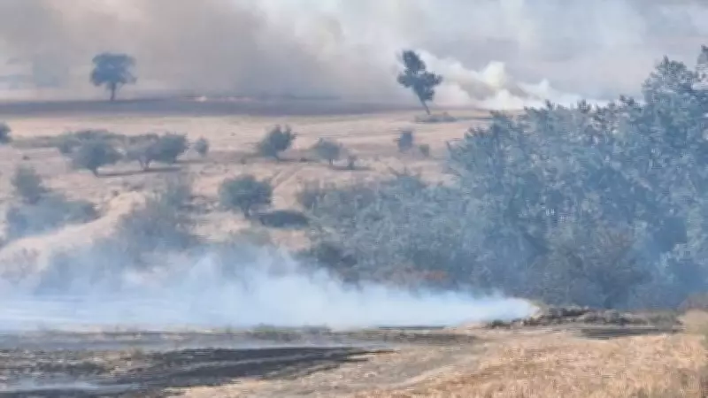 Edirne'de Anız Yakanlara 3 Yılda 518 Bin Lira Ceza Kesildi