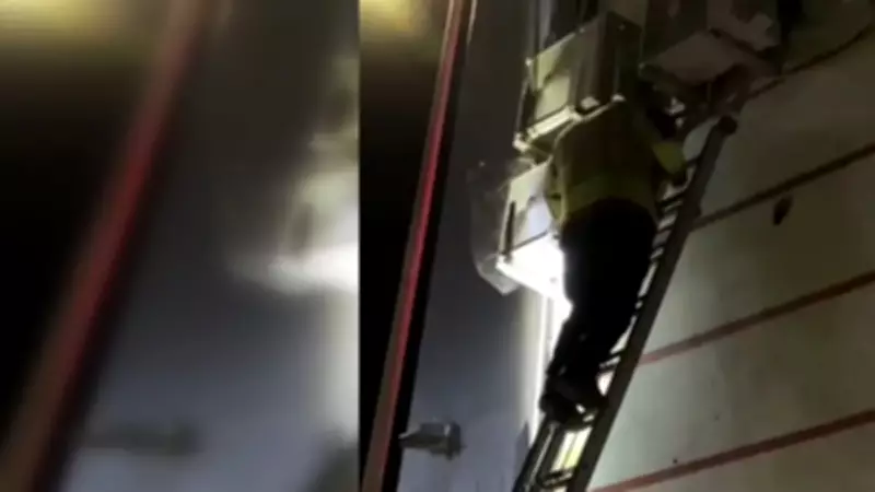 Edirne'de Klima Motoruna Sıkışan Yavru Kedi İtfaiye Ekipleri Tarafından Kurtarıldı