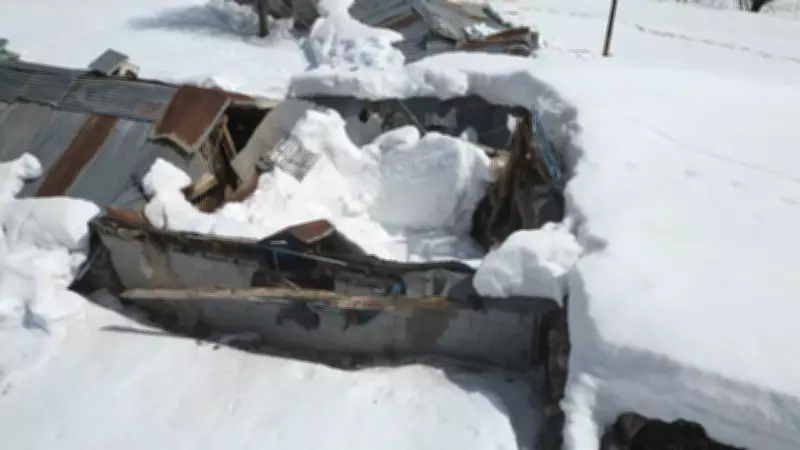 Erzincan'da Yoğun Kar: Ahırların Çatısı Çöktü, Köylüler Destek Bekliyor