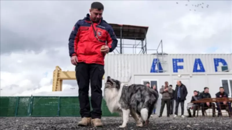 Evcil Köpekler Afetlere Karşı Eğitiliyor: Arama Kurtarma Ekiplerine Destek