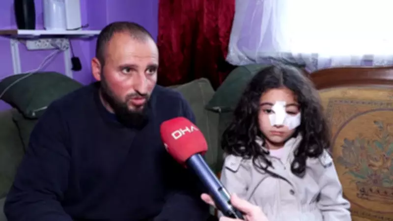 Eyüpsultan'da Sokak Köpeği Dehşeti: 6 Yaşındaki Çocuğa Saldırdılar