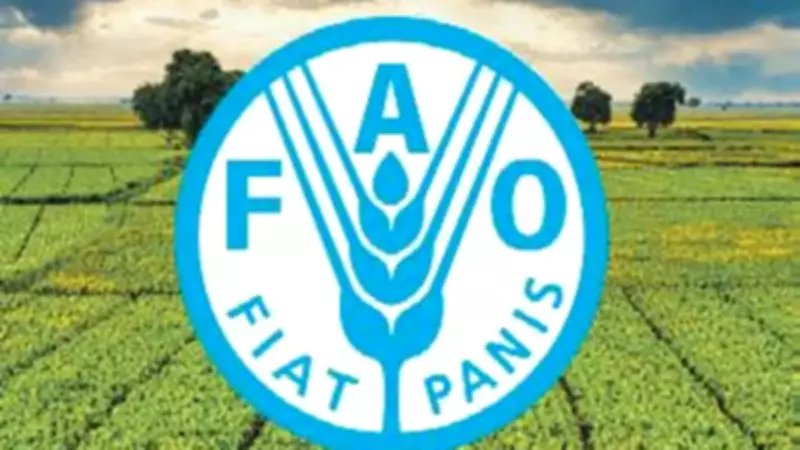 FAO'dan Kritik Uyarı: Hürmüz Boğazı Kapanırsa Küresel Gıda Krizi Kapıda