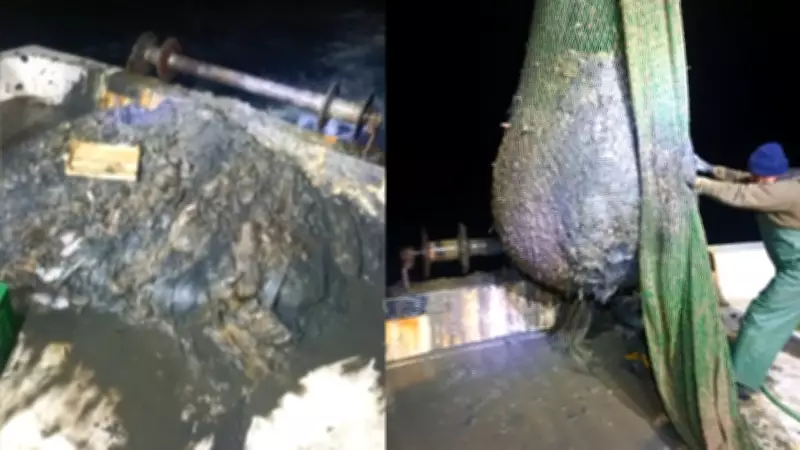 Foçalı Balıkçılardan Dip Çamuru İsyanı: Deniz Ekosistemi Tehdit Altında