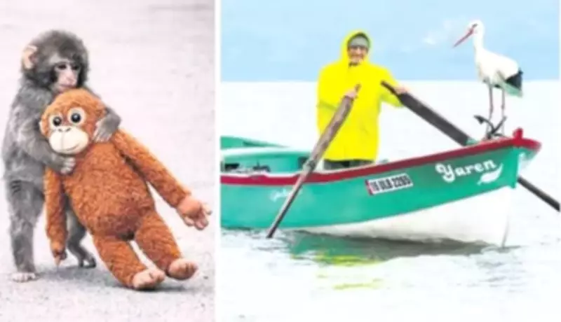 Funda Karayel: Ruh Halimiz Sosyal Medyada İki Uç Arasında Savruluyor